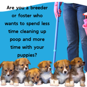 Poop School Is it right for you - 2