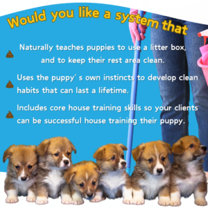 Poop School Is it right for you - 3