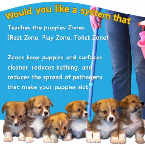 Poop School Is it right for you - 4
