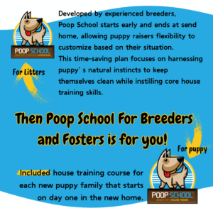 Poop School Is it right for you - 7