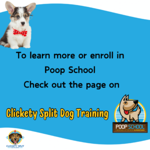 Poop School Is it right for you - 8